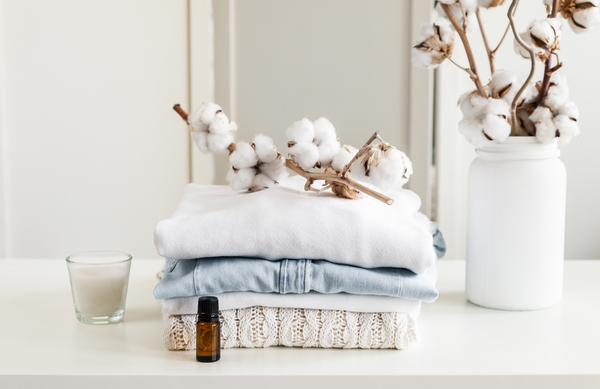 The Natural Laundry Collection - Best Brushes