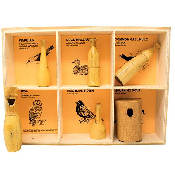 American Bird Selection - Best Brushes