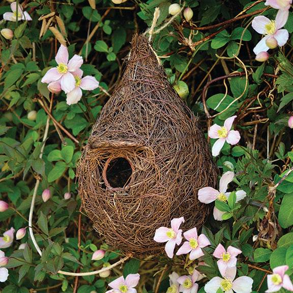 Buy All Three Nesters, Get the Small-Bird Roost Nest for FREE! - Best Brushes