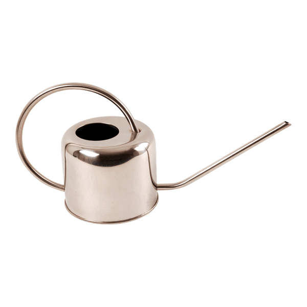 Watering Can - Best Brushes