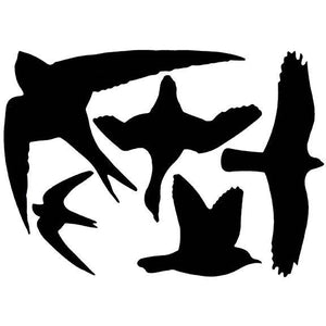 Bird Window Stickers - Best Brushes