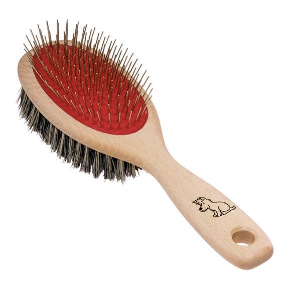 Doggie Brush - Best Brushes