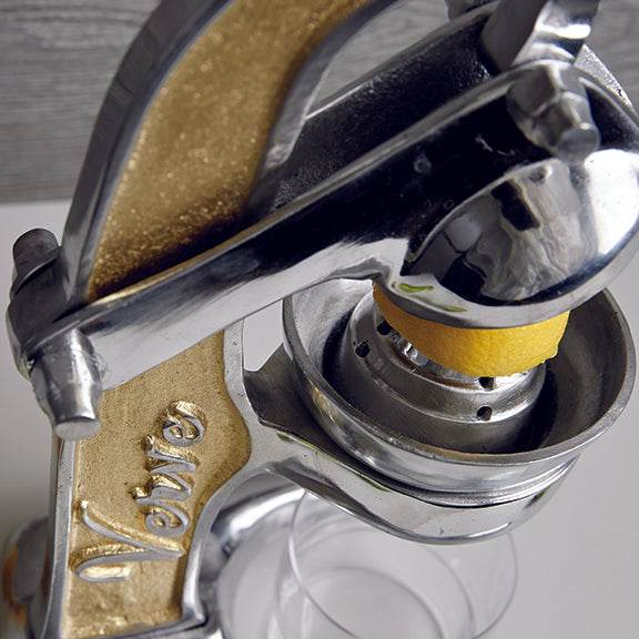 Citrus Juicing Press - Best Brushes
