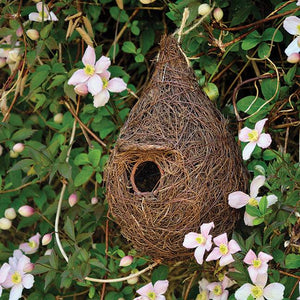Small-Bird Roost Nest - Best Brushes