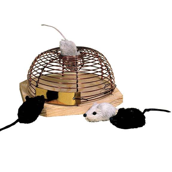 Humane Mouse Trap - Best Brushes