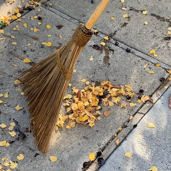 Witch's Broom - Best Brushes