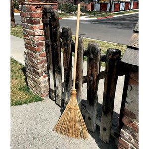 Witch's Broom - Best Brushes