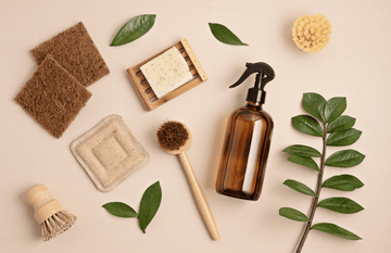 10 Non-Toxic Cleaning Tips for a Healthier, More Sustainable Home - Best Brushes