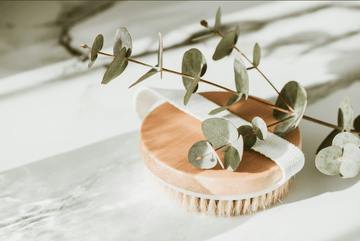 New Year, Greener Goals: A Guide to Creating a Healthier Home and Planet in 2025 - Best Brushes