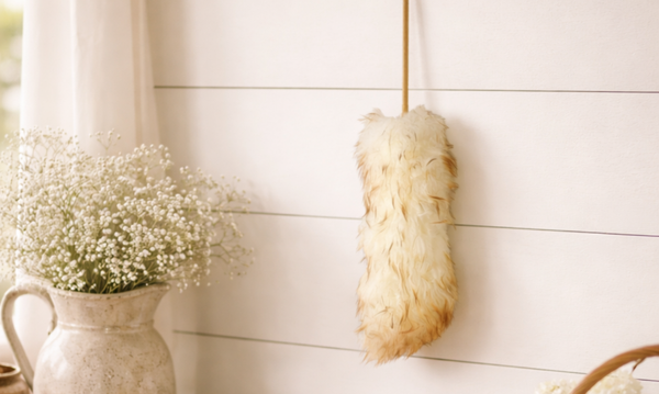 Dust Brushes