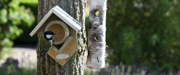 Birdhouses, Feeders & Wildlife Homes