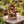 Rustic Birdhouse