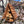 A-Frame Birdhouse