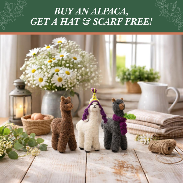 Free Hat & Scarf With Purchase Of Alpaca