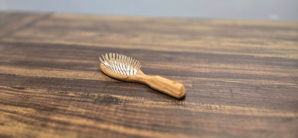 Small Oval Wooden Bristle Hair Brush - Best Brushes