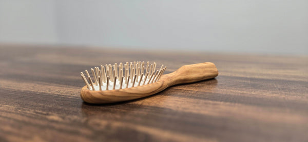 Small Oval Wooden Bristle Hair Brush - Best Brushes