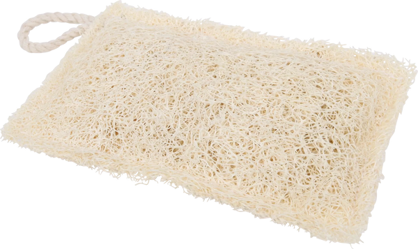 Loofah Dish Washing Sponge | Natural Plant-Fiber Kitchen Scrubber