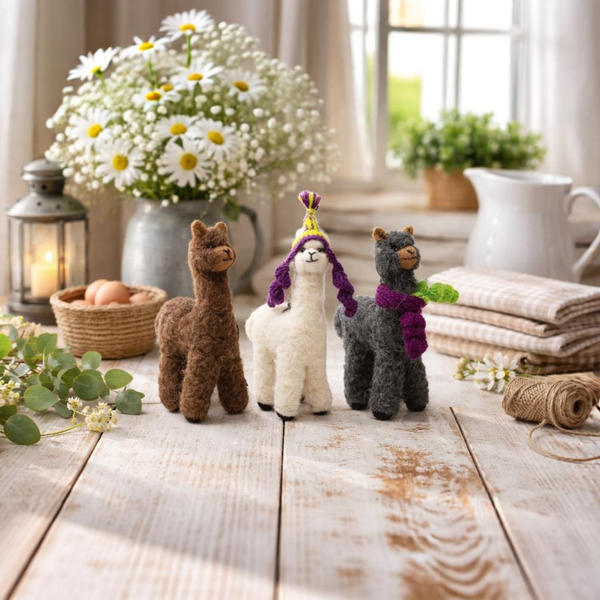 Free Hat & Scarf With Purchase Of Alpaca