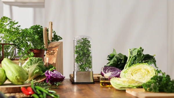 Stainless Steel Herb Savor