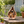 Teardrop Birdhouse - Large
