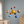 The Solar System