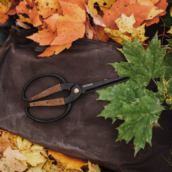 Bonsai Scissors