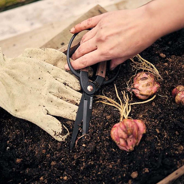 Bonsai Scissors