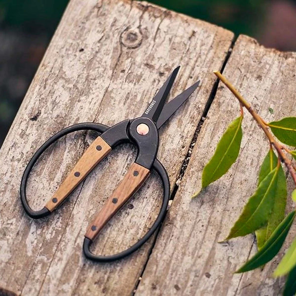 Bonsai Scissors
