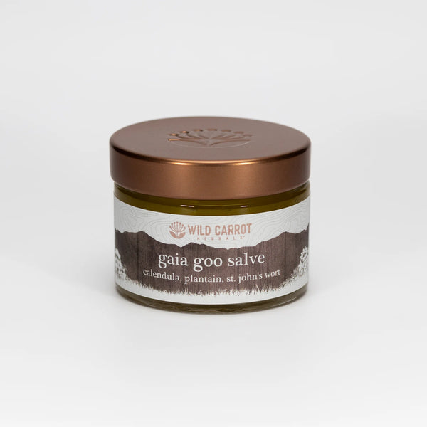 Gaia Goo Salve | All-Purpose Herbal Balm (1 oz)