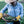 Japanese Gardening Ultimate Tool