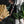 Japanese Gardening Ultimate Tool