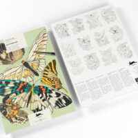 PEPIN Artists' Coloring Books - BUTTERFLIES