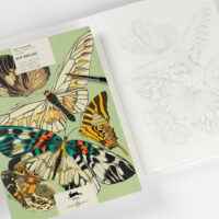 PEPIN Artists' Coloring Books - BUTTERFLIES