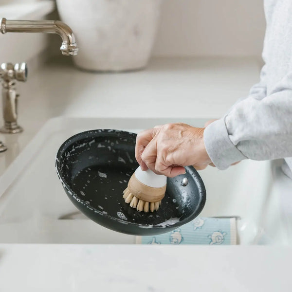 Brush with Dish Soap Stick