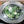 Universal Lid — 5.5–9