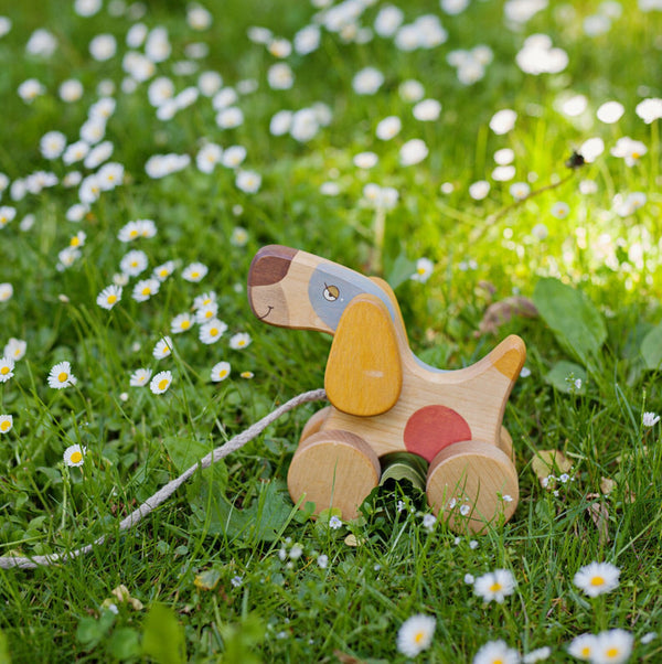 Wooden Pull Toy - Terrier Dog