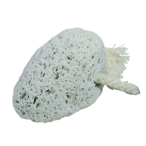 Pumice Stone